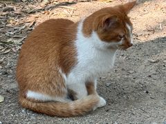 -望海·帆船主题咖啡厅•品茗下午茶(石湖景区店)