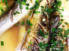 -呼吸森林·生态农庄农家乐私房菜