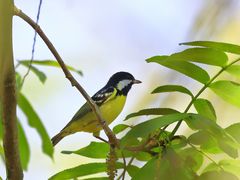 -白鹭湾湿地公园