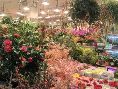 -双季花艺园艺市场(浦东店)