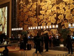 -长沙富力万达文华酒店