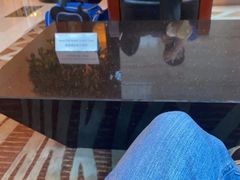 -上海龙之梦万丽酒店