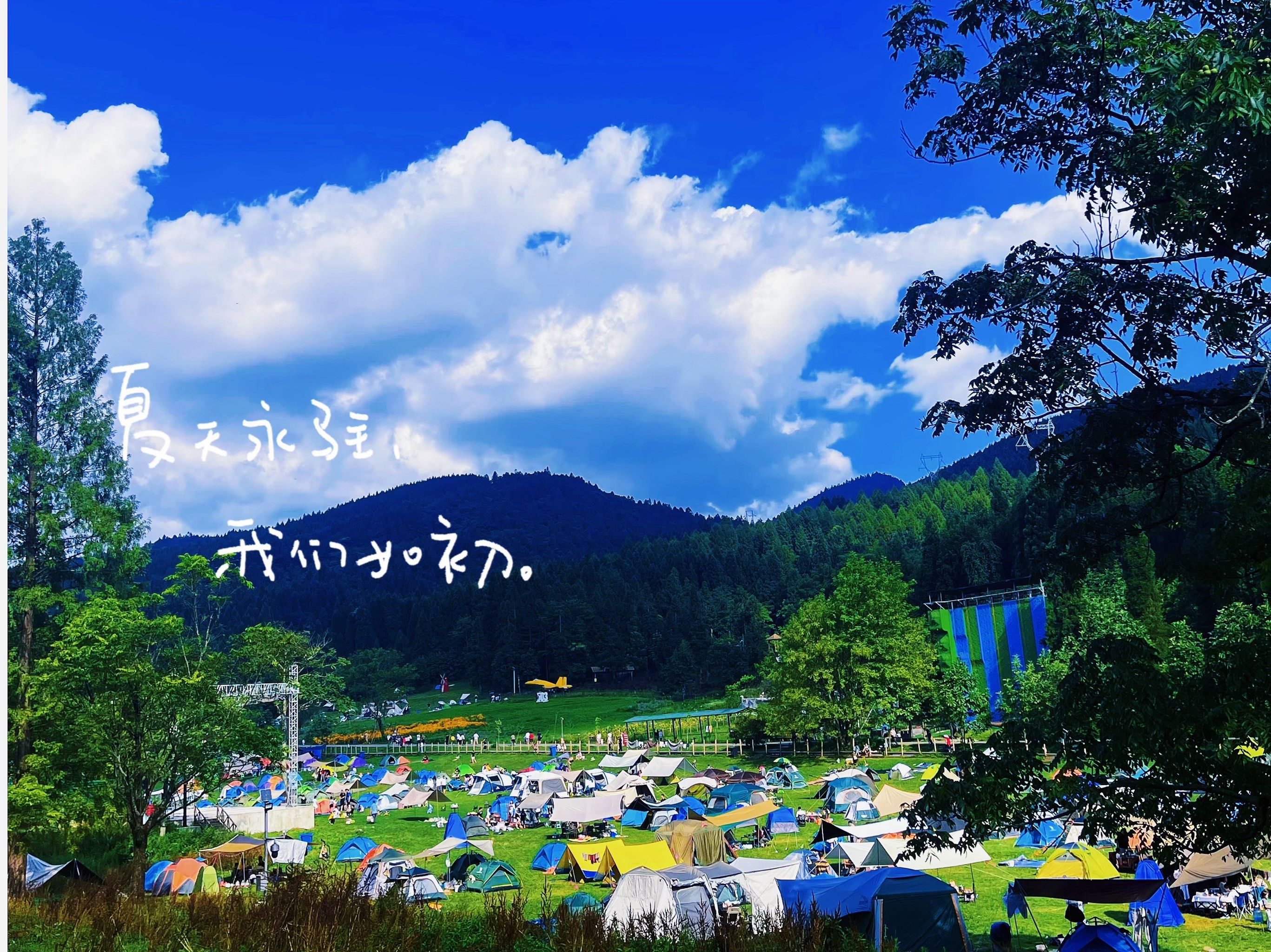 武陵山森林公园夏日避暑露营