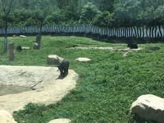 -西安秦岭野生动物园