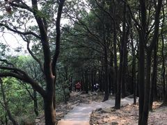 -火炉山森林公园