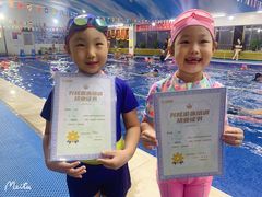 -鲨鱼游泳培训中心