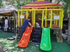 -亲兄弟真人CS团建拓展基地