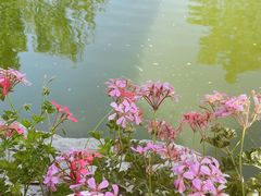 -北京颐和宾馆