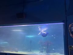 -常州海昌海洋探索馆