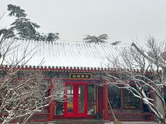 -宫事颐庭·老佛爷贵寿下午茶(颐和园店)