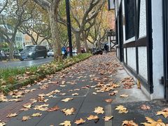 -一尺花园(安和花园店)