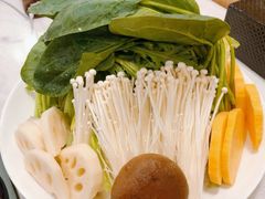 -蝎王府羊蝎子(朝阳北路店)