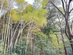 -杭州植物园