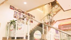 楼梯-新生植发·植养护一体