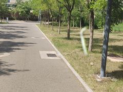 -华北理工大学(曹妃甸校区)
