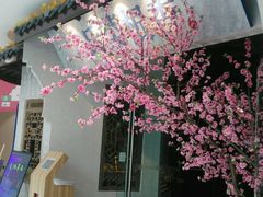 -卞氏菜根香(青羊万达店)