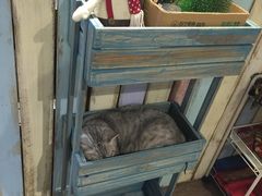 -小时光咖啡馆(开森度假森林店)