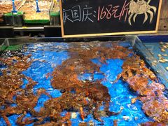 水产区-船歌·鱼水饺青岛菜(闽江二路店)