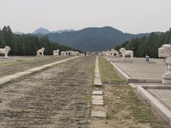 -清东陵