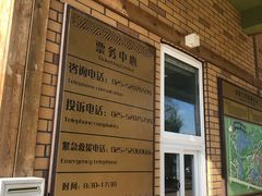 -大塘金香草谷