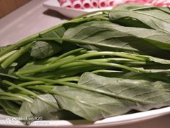 -海底捞火锅(枫蓝国际购物中心店)