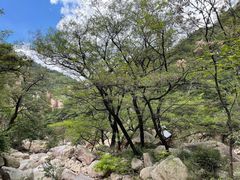 -崂山九水游览区