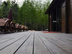 -合肥滨湖国家森林公园