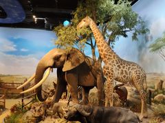 -陕西自然博物馆