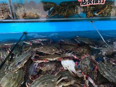 -港畔赶海蒸汽海鲜烧烤自助(仙螺岛店)