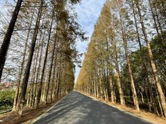 -长兴对江渡客运站