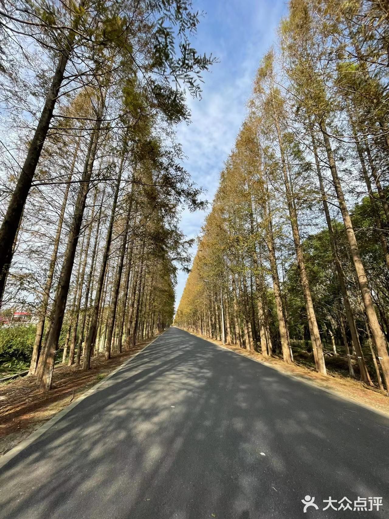 横沙岛30km环岛骑行挑战成功✔️