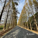 横沙岛30km环岛骑行挑战成功✔️