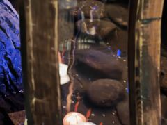 -淀里船宴(卓达店)