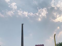 -威克特披萨汉堡