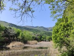 -国家植物园南园