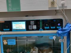 -美美宠物诊疗中心·异宠·骨科(滨江东信分院)