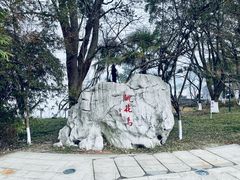 -金鸡湖桃花岛