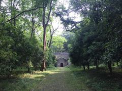 -灵谷景区