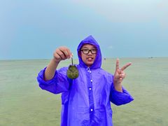 -红树林天天赶海
