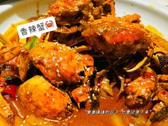 -阿财老铺·老蚌埠龙虾城(华夏总店)