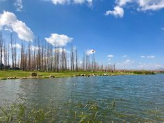 -呈贡滇池生态湿地公园