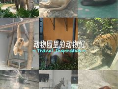 -成都动物园