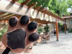 -静园(和平区)