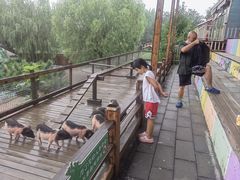 -北京鹿世界主题园