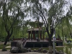 -西安市长乐公园