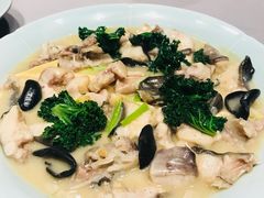 -子福慧(虹桥店)