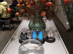 -小豆海棠(嘉兴路店)