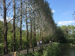 -溱湖国家湿地公园