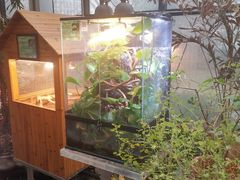 -上海大自然野生昆虫馆(东方明珠·爬宠昆虫探索中心)