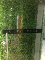 -V-STAR威斯达•高级私人定制